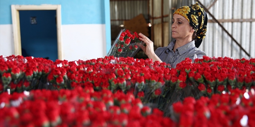 Çiçek Sektörü İhracatta Rekor Kırdı