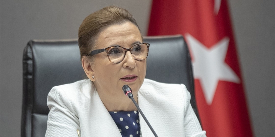 Bakan Pekcan: İhracatçıların Hususi Pasaport Süresi 4 Yıla Çıkarıldı