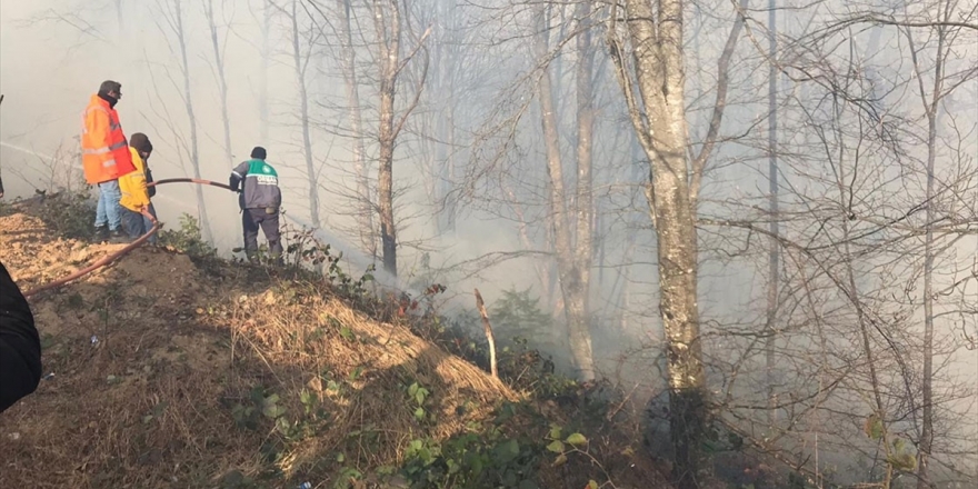Karadeniz Bölgesi'ndeki Tüm Yangınlar Kontrol Altına Alındı