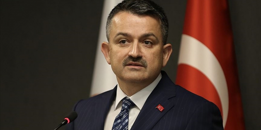 Bakan Pakdemirli: Üreticilere 425,4 Milyon Liralık Destek Ödemesi Yapılacak