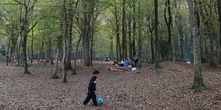 Ormanda Çöp Bırakanlara Yaptırım Talebi