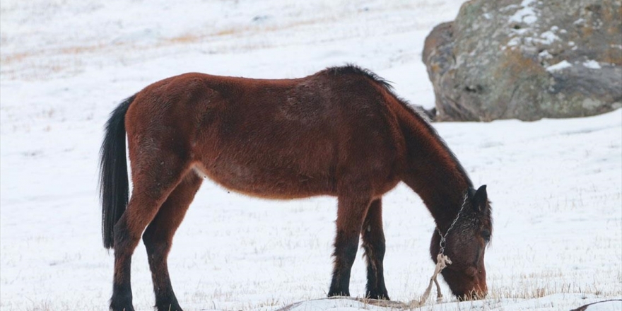 Doğu Anadolu'da Dondurucu Hava