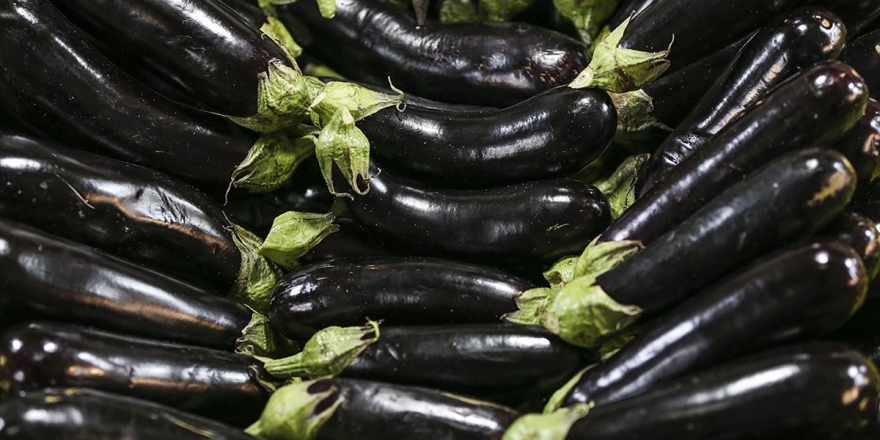 Aralık Ayının Zam Şampiyonu Patlıcan