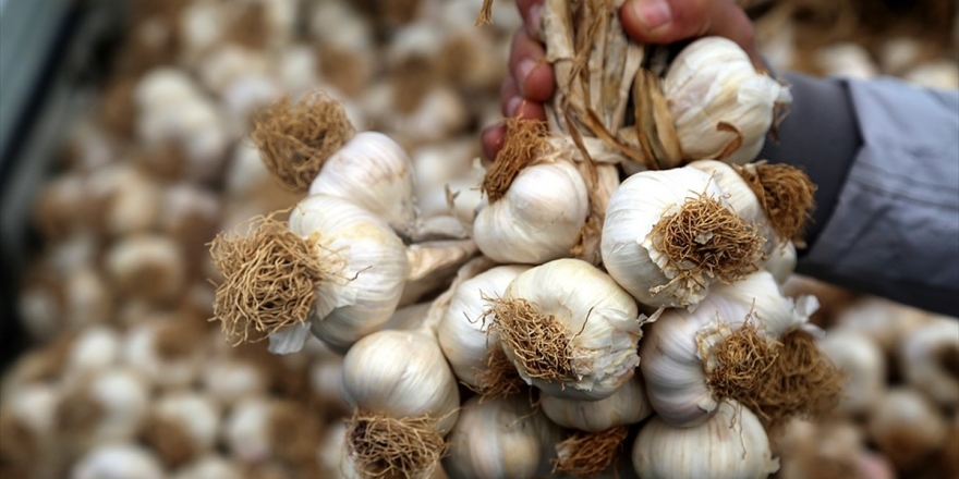 Gıdada 2019'un Zam Şampiyonu 'Sarımsak'