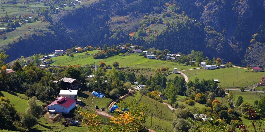 Doğu Karadeniz İçin 20 Milyon Liralık Destek Paketi