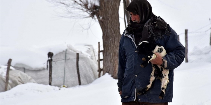 Besicilerin Zorlu Kış Şartlarıyla Mücadelesi