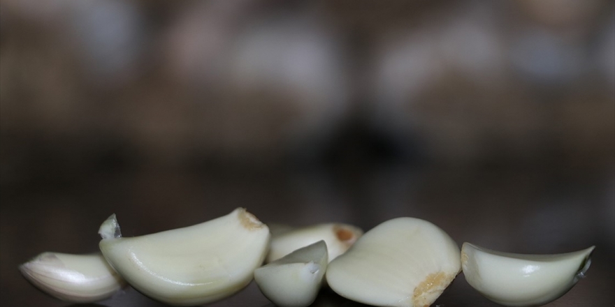 Sarımsak İçin Alerji Uyarısı
