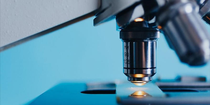 Kanserle Mücadelede Metastazdan Sorumlu Proteinler Saptandı