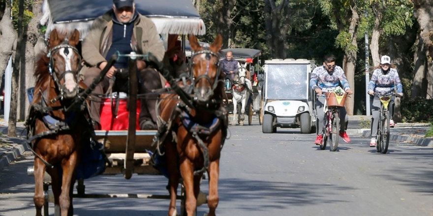 İBB, Adalar'daki Faytonların Plakalarını Ve Atları Satın Alacak