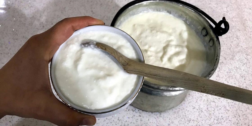 Yoğurt Tüketiminin Gripten Koruduğu Tespit Edildi