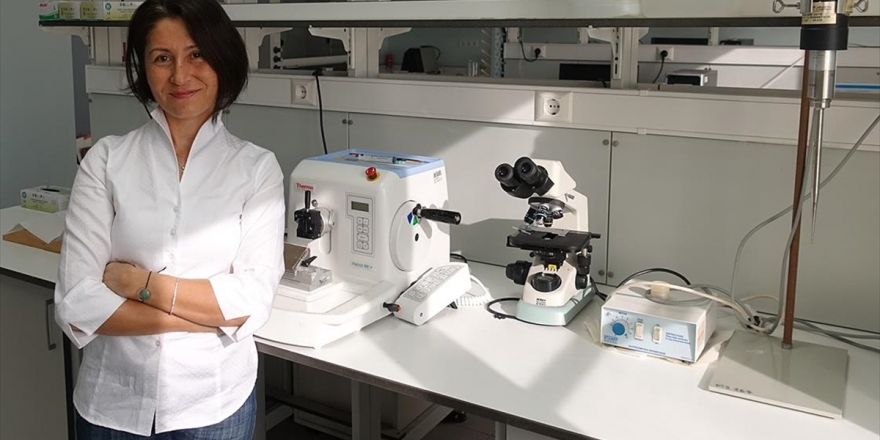 Türk Bilim İnsanları Magnezyumun Ağrıyı Azalttığını Kanıtladı