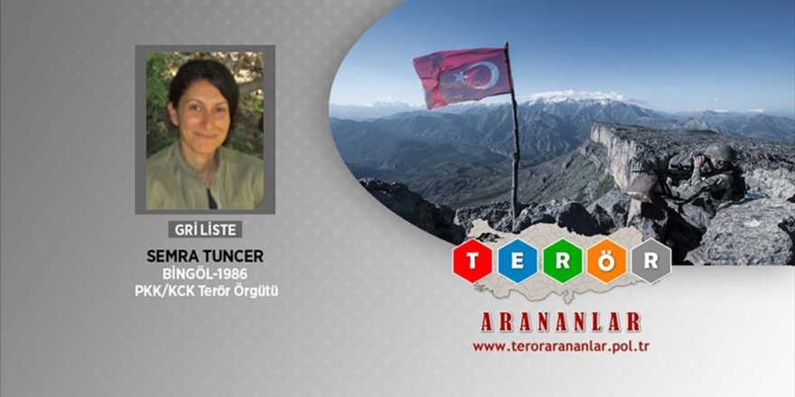 Gri Kategorideki Terörist Pkk'dan Kaçmak İçin 150 Bin Lira Vermiş