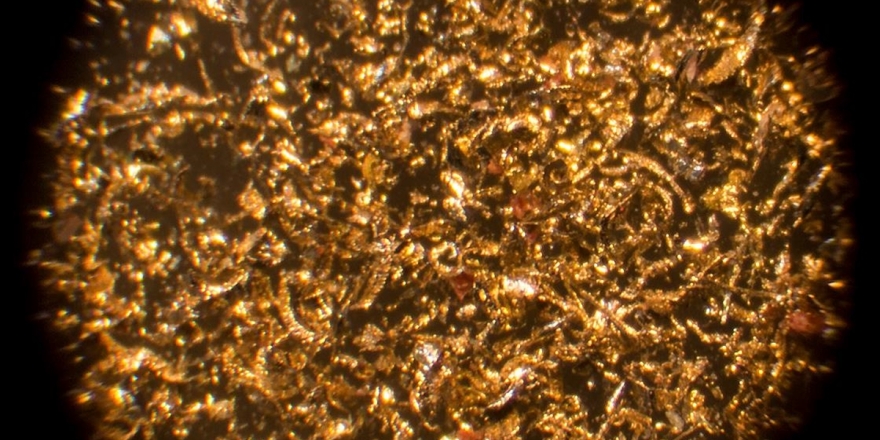 Bakteriler Kimyasal Atıkları Altına Dönüştürdü