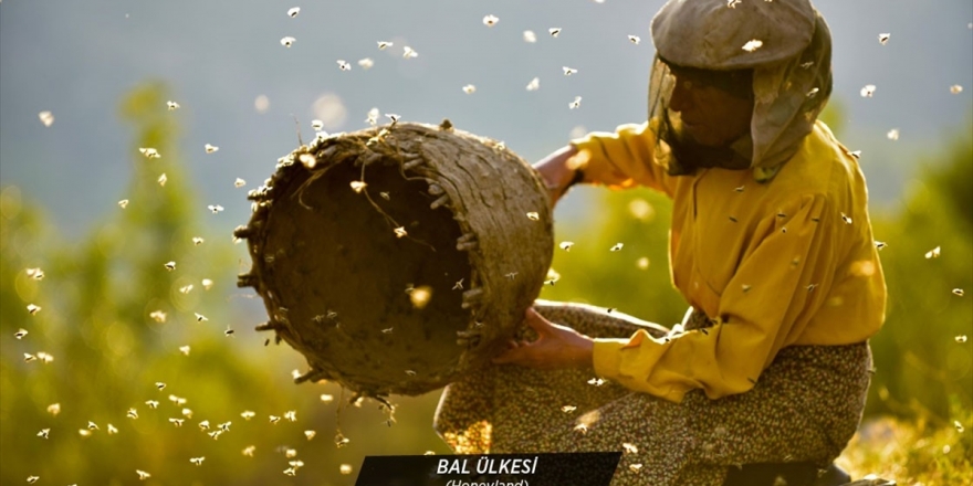 Oscar Adayı 'Bal Ülkesi' İzleyicilerle Buluşacak