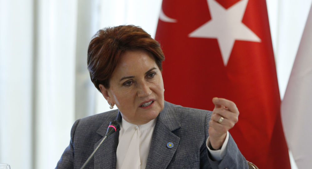 Akşener'den Türk bayrağını yırtan Yunan vekile tepki: 82 milyon bir araya gelir ve o bayrağı yırtan eli