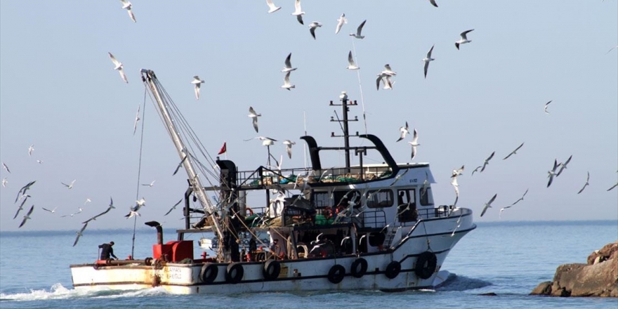 Akçakocalı Balıkçılar Limana 60 Ton Hamsiyle Döndü