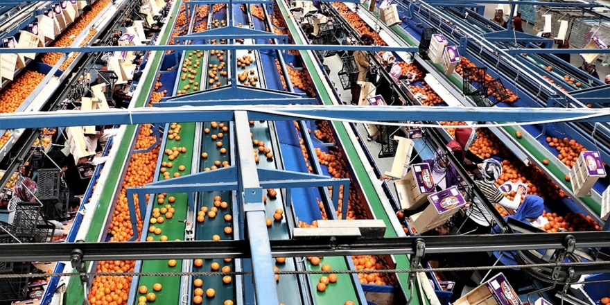 Rusya Meyve-sebze İthalatında Çin Yerine Türk Ürünleri Alabilir