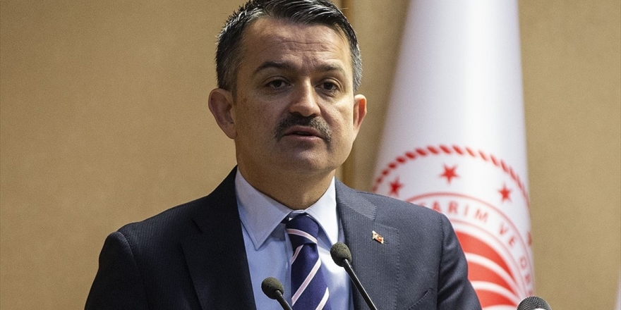 Bakan Pakdemirli'den Orman Yangınlarıyla Mücadelede İş Birliği Çağrısı