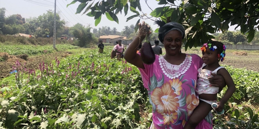 Tika'dan Gine'de Kadınlar İçin Tarım İstihdamı