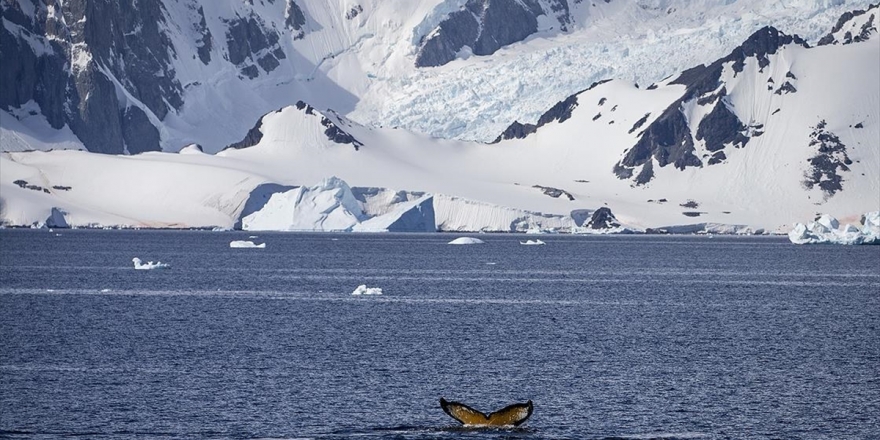 Türk Ekibi Pazar Günü Antarktika Yolculuğuna Başlayacak