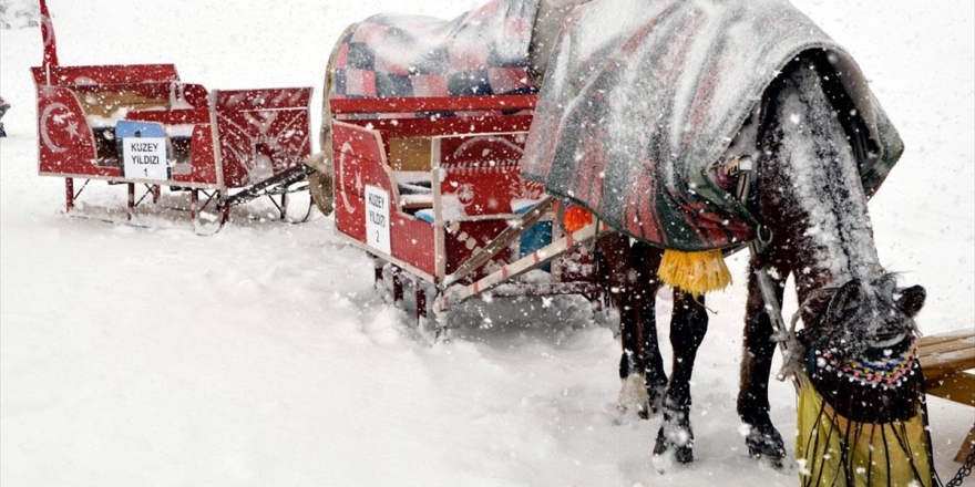 Çıldır'ın Sembolü Atlı Kızakçılara Kar Engeli
