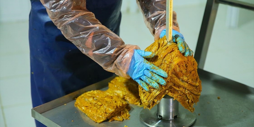 Avrupa'ya Balık Döner İhraç Edilecek