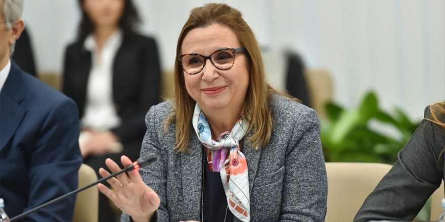 Türkiye İle Hırvatistan Arasında 2 Milyar Dolarlık Ticaret Hedefi