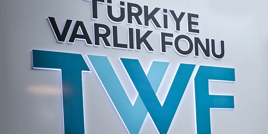 Türkiye Varlık Fonu, Ortak Kartlı Sistemler Aş'ye Yüzde 20 Oranında Ortak Olacak