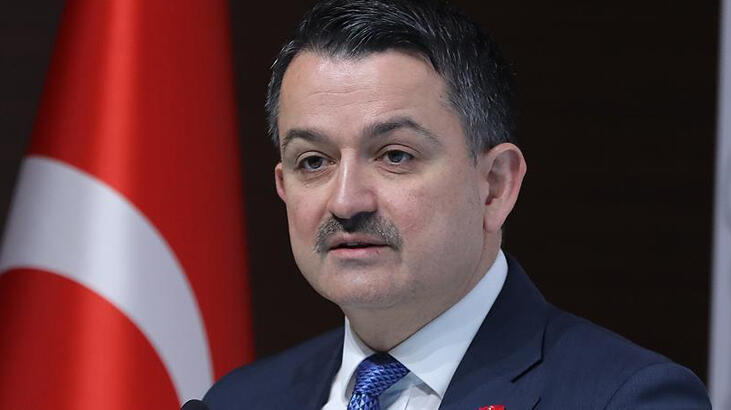 Tarım ve Orman Bakanı Bekir Pakdemirli: "Bingöl Kiğı yangını kontrol altına alındı"