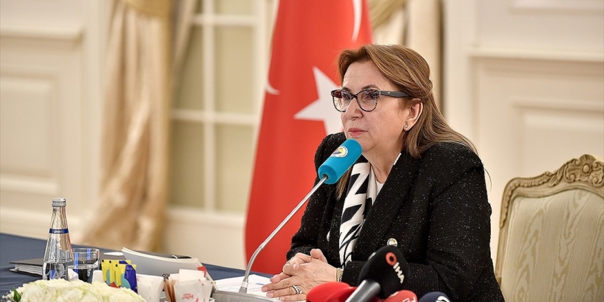 Ticaret Bakanı Pekcan: Türkiye Ekonomisinin Olumlu Seyri Göstergelere De Yansıyor