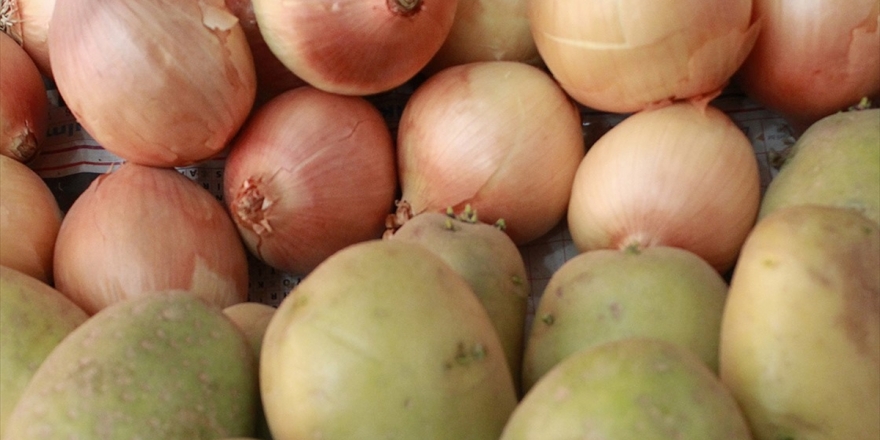 Soğan Ve Patateste Üretim Mayısa Kadar Yeterli
