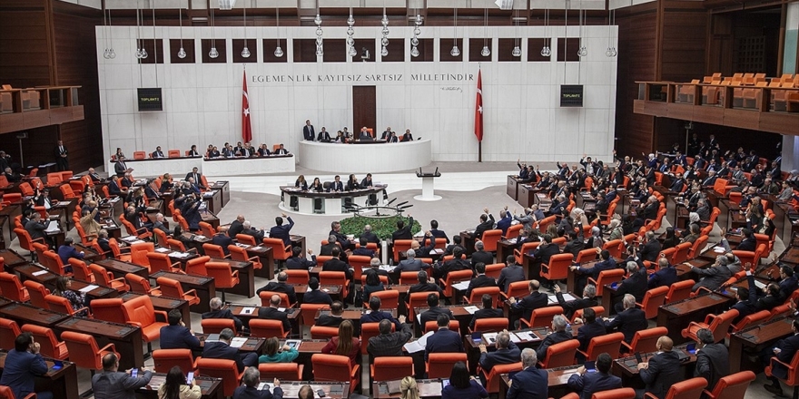 Meclis Ürün Güvenliği İle Çarşı Ve Mahalle Bekçileri Düzenlemesi İçin Mesai Yapacak