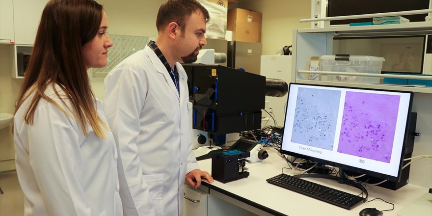 Türk Bilim İnsanları Görüntü Kalitesi Yüksek Taşınabilir Mikroskop Geliştirdi