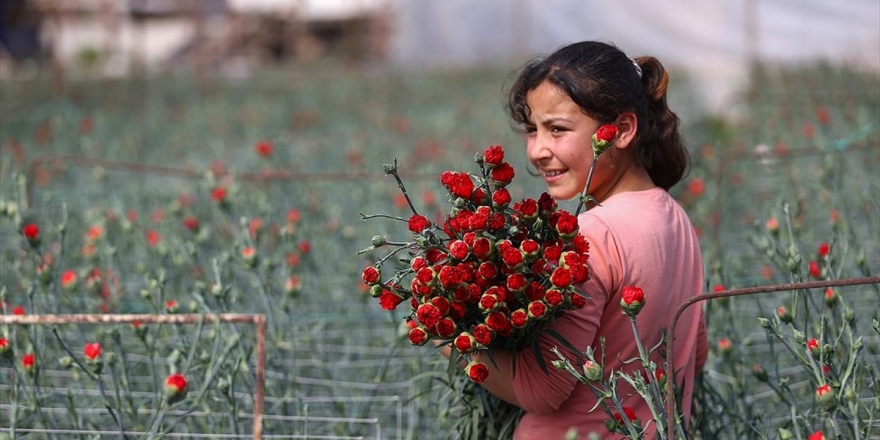 Türk Çiçeği 50 Ülkenin Kadınları İçin Hazırlanıyor