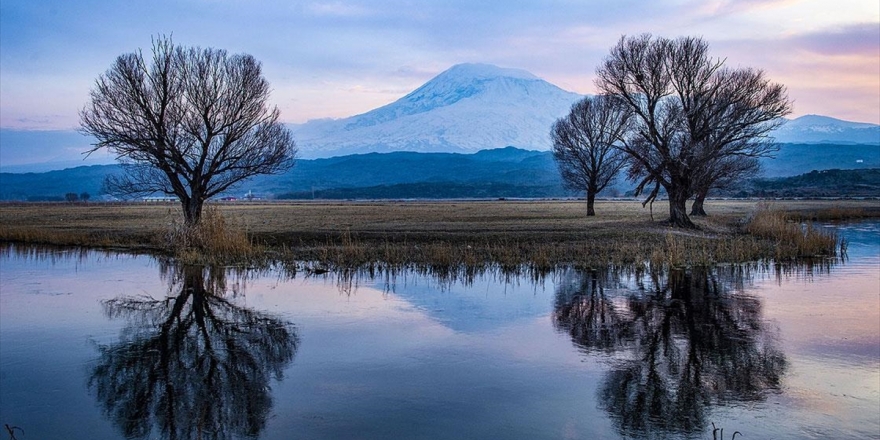 Yaban Hayatının Kuzeydoğudaki Evi: Ağrı Dağı Milli Parkı