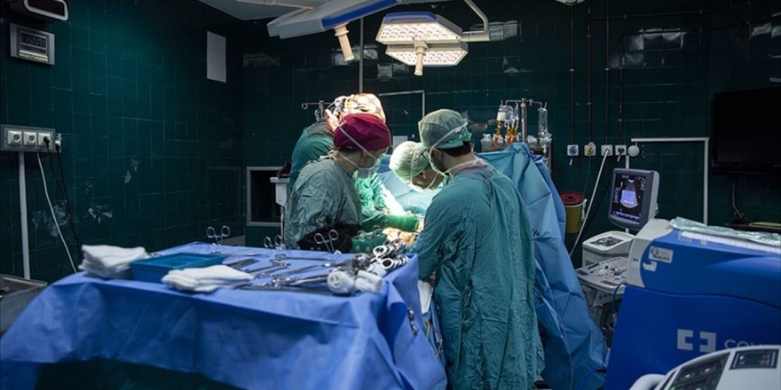 Bu Yılın Başından İtibaren 641 Kişi Böbrek Nakliyle Hayata Tutundu