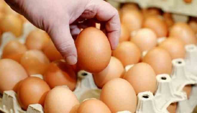 Koronavirüsü yumurta üreticisini de vurdu, iflaslar başladı