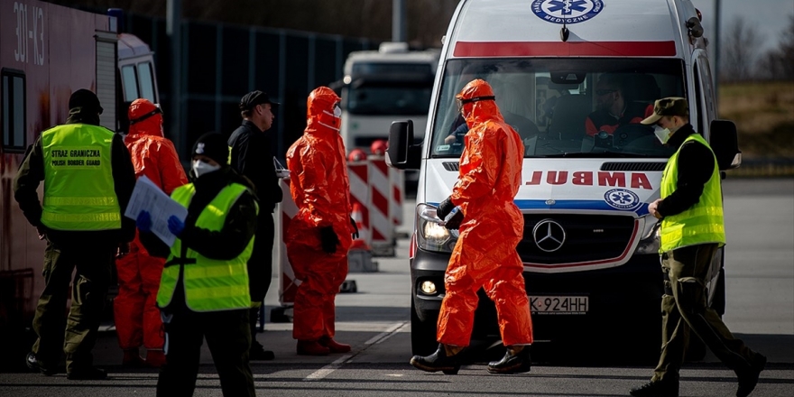 Avrupa'yı Kasıp Kavuran Hastalıklar