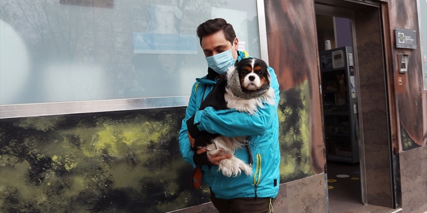 Koronavirüs Evcil Hayvanlardan Bulaşmıyor