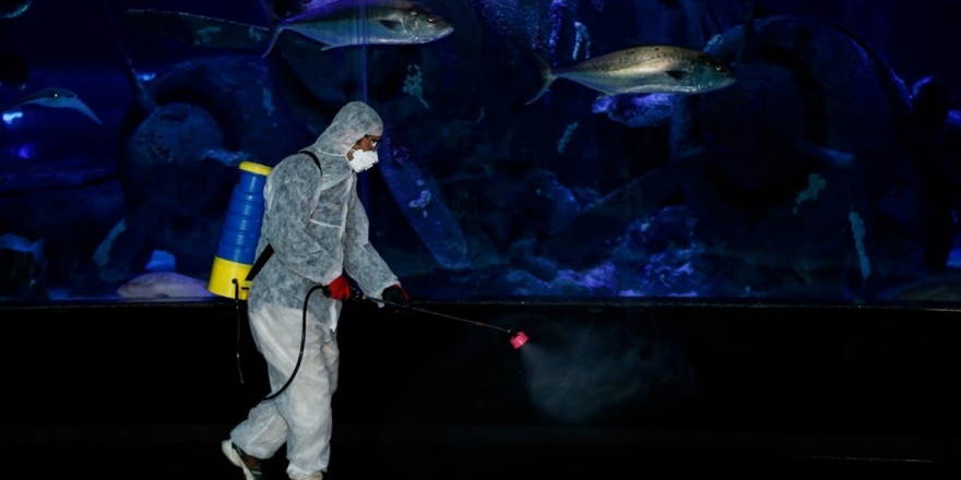 Antalya Akvaryum'da Dezenfekte İşlemi Yapıldı