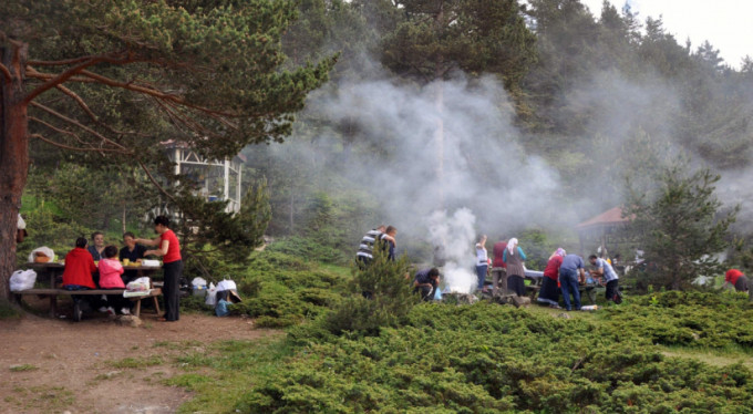 Tarım ve Orman Bakanlığı, park ve mesire alanlarında mangala yasak getirdi