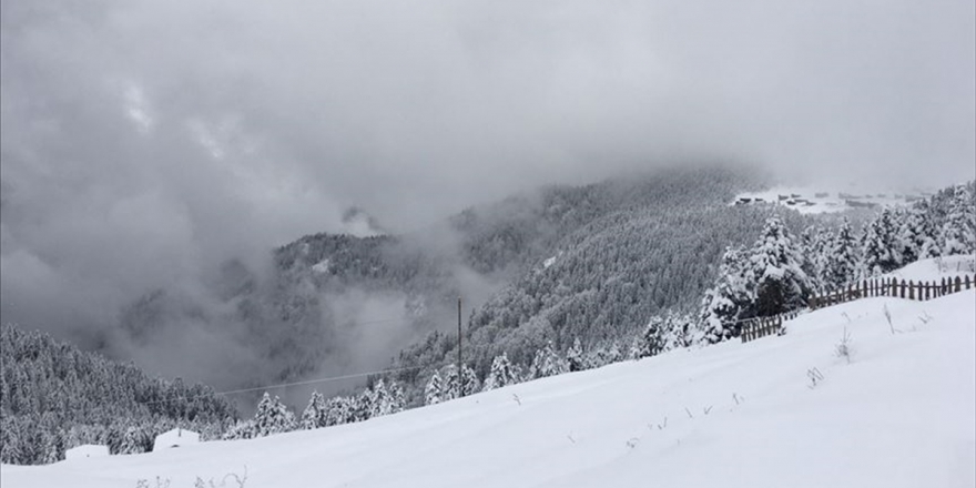 Doğu Anadolu İçin Buzlanma, Don Olayı Ve Çığ Uyarısı