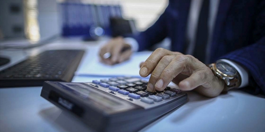 6 Çalışandan 1'i Kamuda Görev Yapıyor