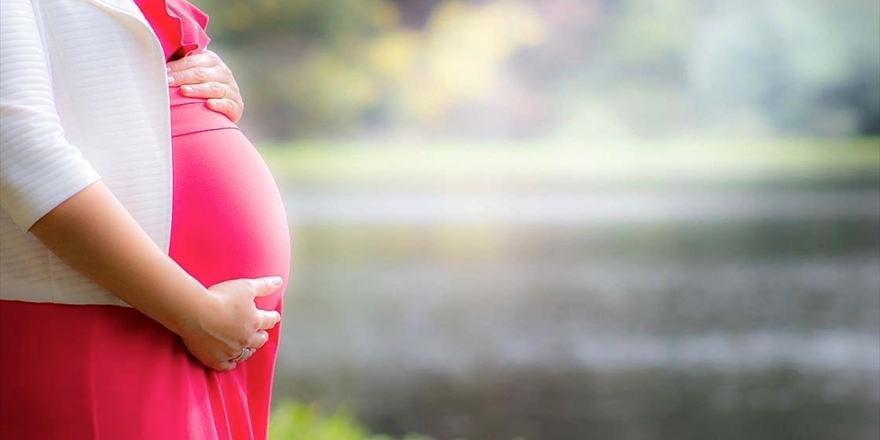 Plasenta Anne Karnındaki Bebeği 'Koronavirüsten Koruyor'