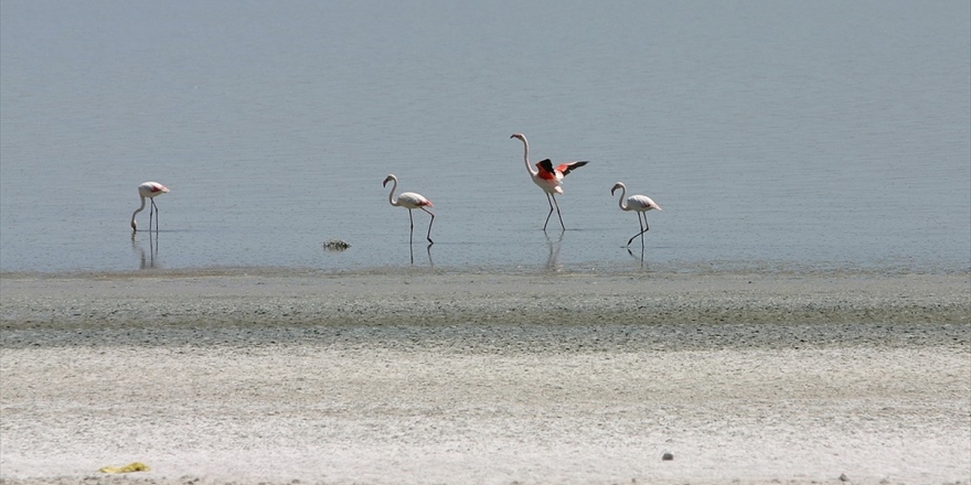 Konya Kapalı Havzası Kuraklıkla Boğuşuyor