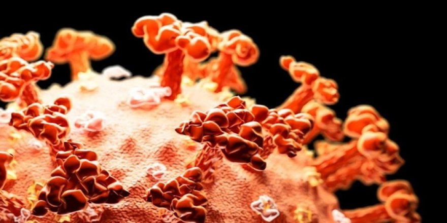 Yüzeylerde 3 gün canlı kaldığı tahmin edilen Kovid-19'un 17 gün yaşadığı ortaya çıktı