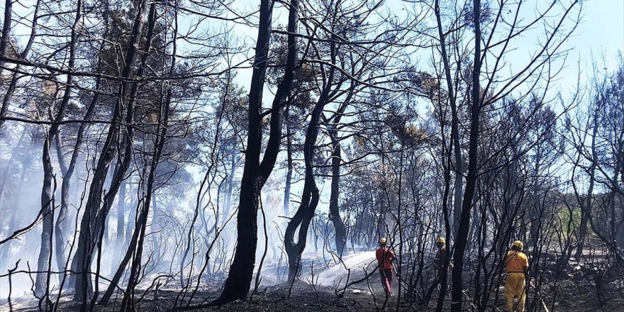 İhmaller Sonucu Geçen Yıl 6 Bin 500 Hektar Orman Kül Oldu