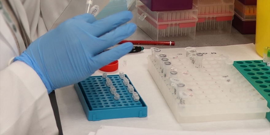 Geliştirilen Basit Bir Kan Testiyle 50'den Fazla Kanser Türü Tespit Edilebildi