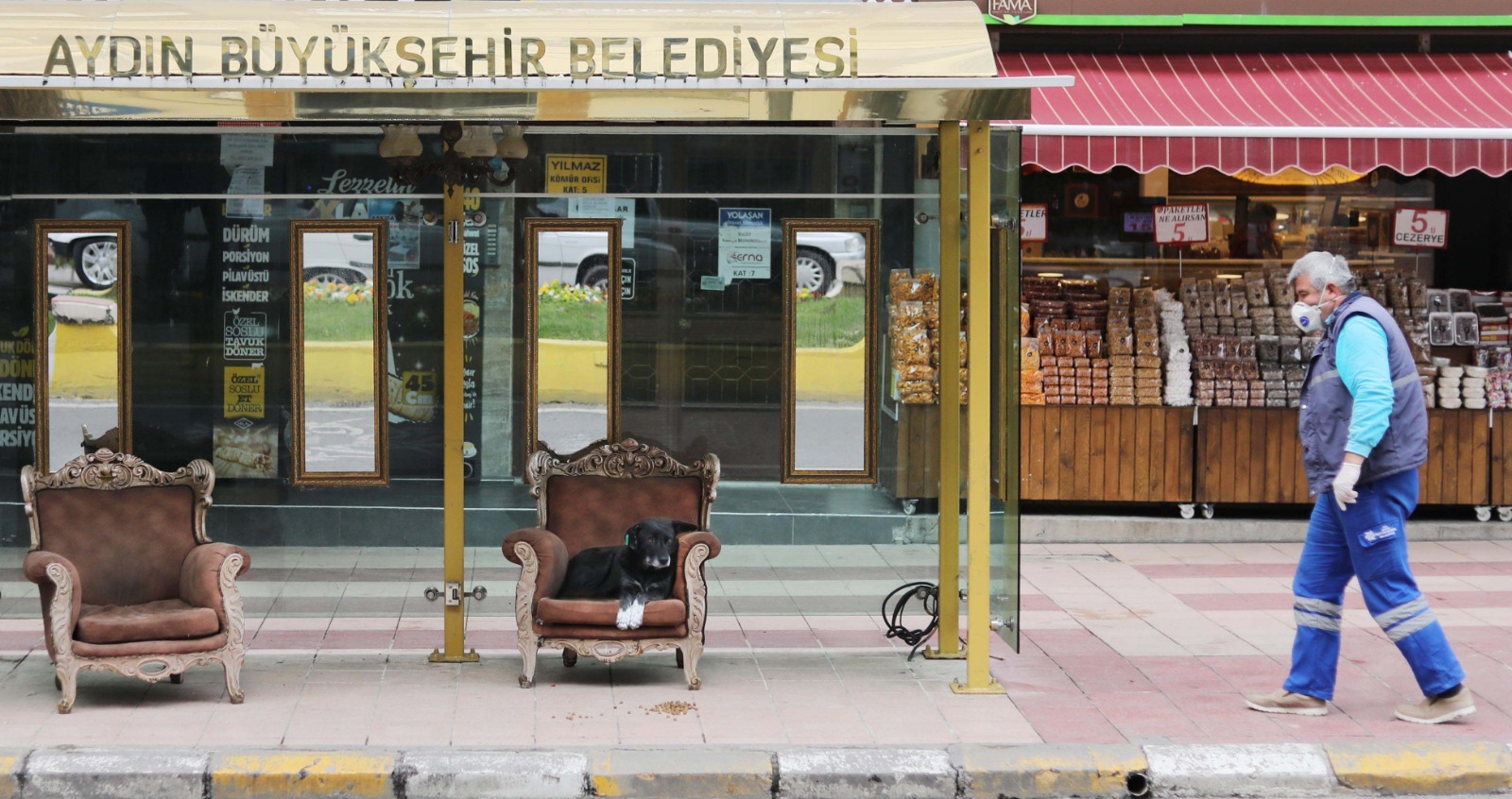 Duraktaki koltuğu kendisine yuva yaptı