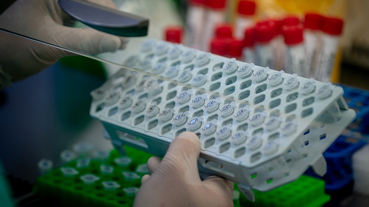 ABD Gıda Ve İlaç İdaresinden 2 Dakikada Sonuç Veren Kovid-19 Testine Onay